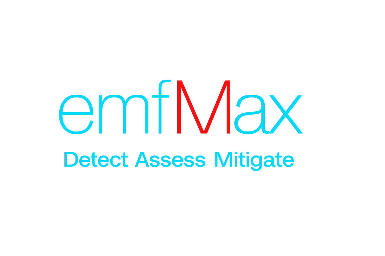 emfMax — Detect. Assess. Mitigate.